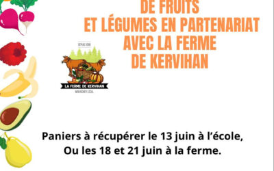 Vente de panier de légumes et fruits